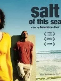 海之盐 海报