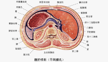 小网膜囊图片