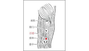 后股穴