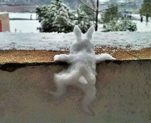 雪堆的兔子图片