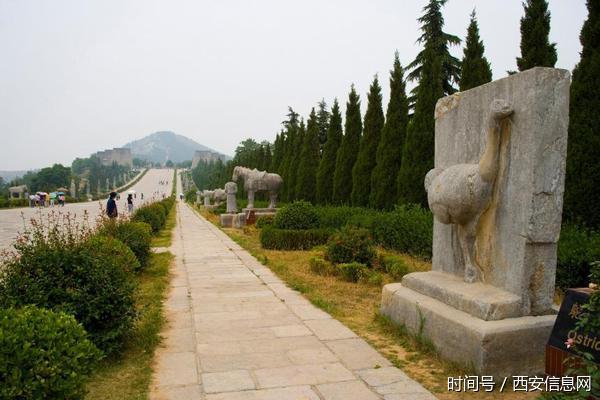 乾陵附近还有永泰公主墓,章怀太子墓及懿德太子墓.