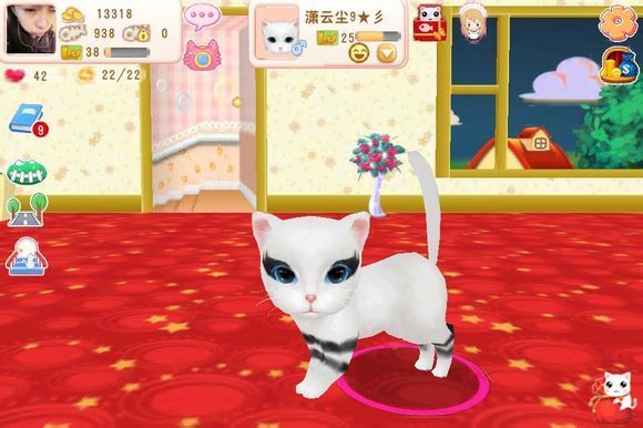 晴天小猫图片