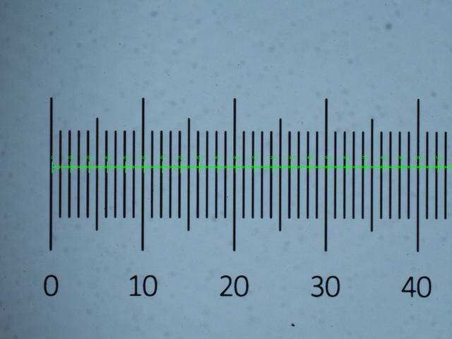 太小的东西不好量?这尺子能测量蚂蚱的腿毛