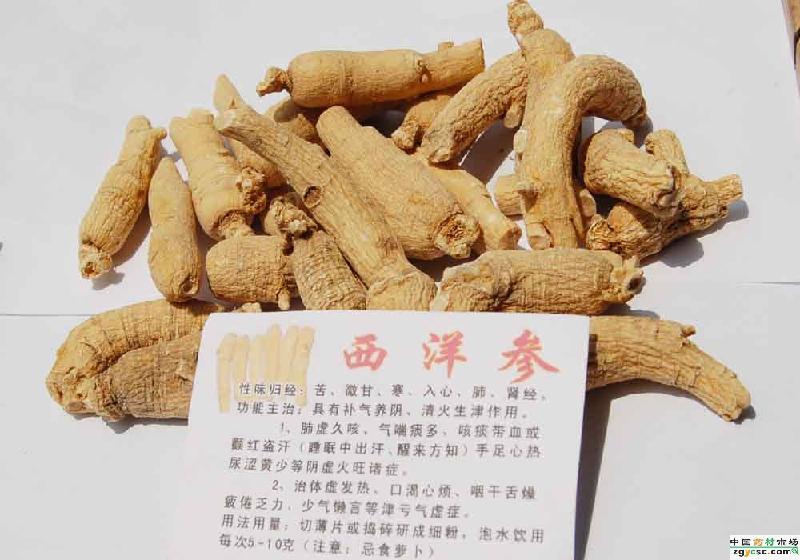 西洋参