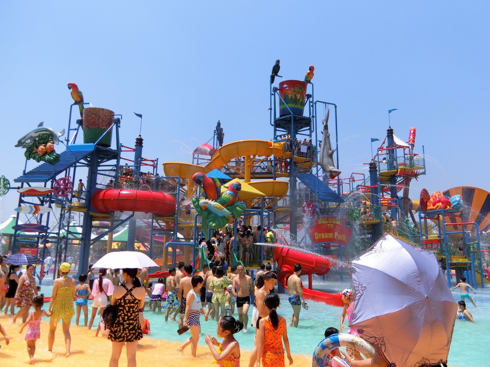 【湖南益阳】:林深花海画乡里 洞庭梦幻秀资阳