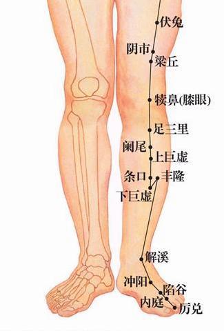 厉兑穴的位置