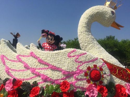 世界花卉大觀園5月歡樂多 花車巡遊卡通人物扮靚每個週末