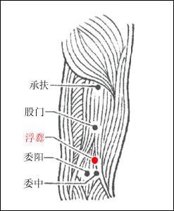 后股穴