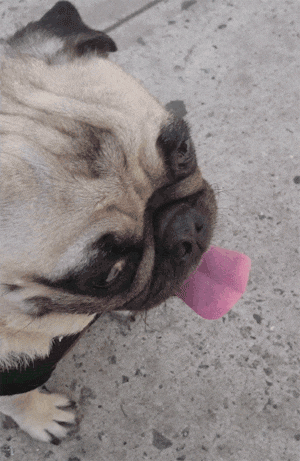 搞笑gif: atm取钱防止别人偷看密码的神技! - 360娱乐,你开心就好