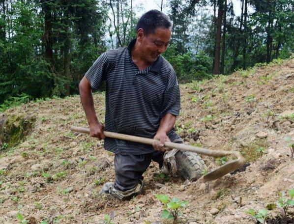 老人轮胎当脚干活 坚持勤劳干活虽然心酸但收获了尊敬(图)