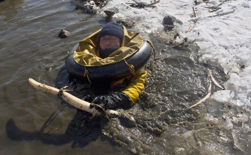 到近两百斤冬藕,而这背后是他们每天超过7个小时的冰水浸泡和辛苦劳作