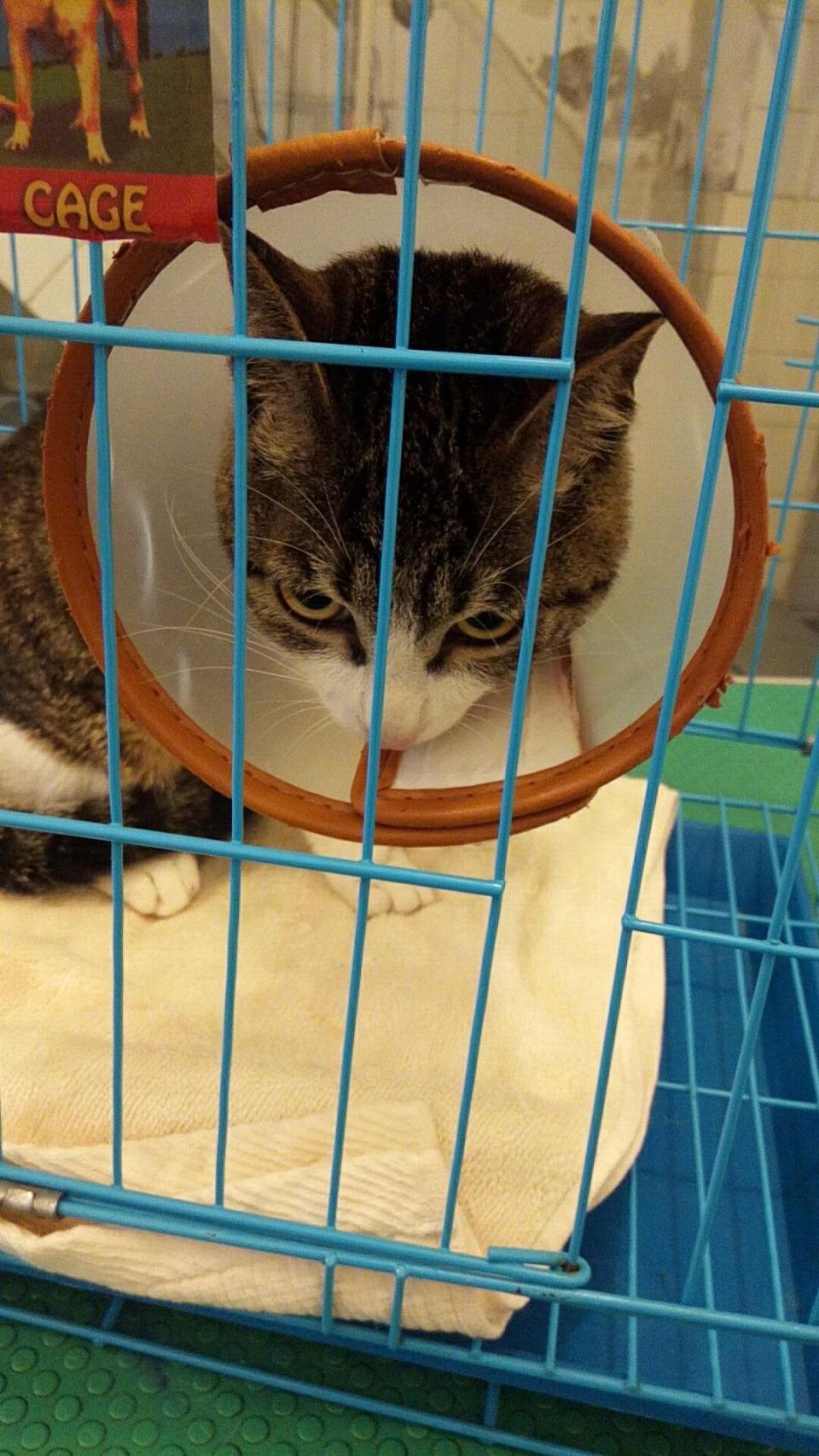 【照片征集】被金钱蒙蔽了双眼