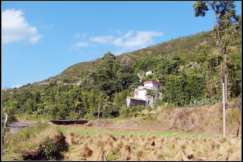 温水塘村