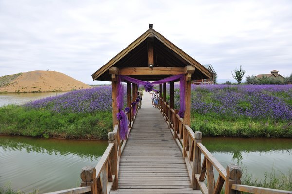 金沙岛-河北省唐山市乐亭县西南部岛屿