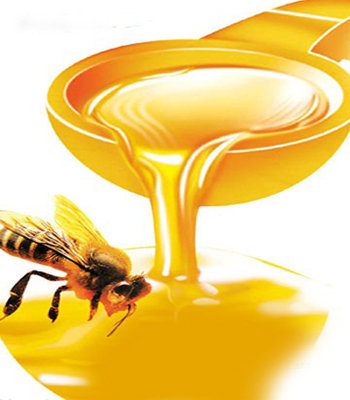 蜂蜜和蜂蜜膏的区别