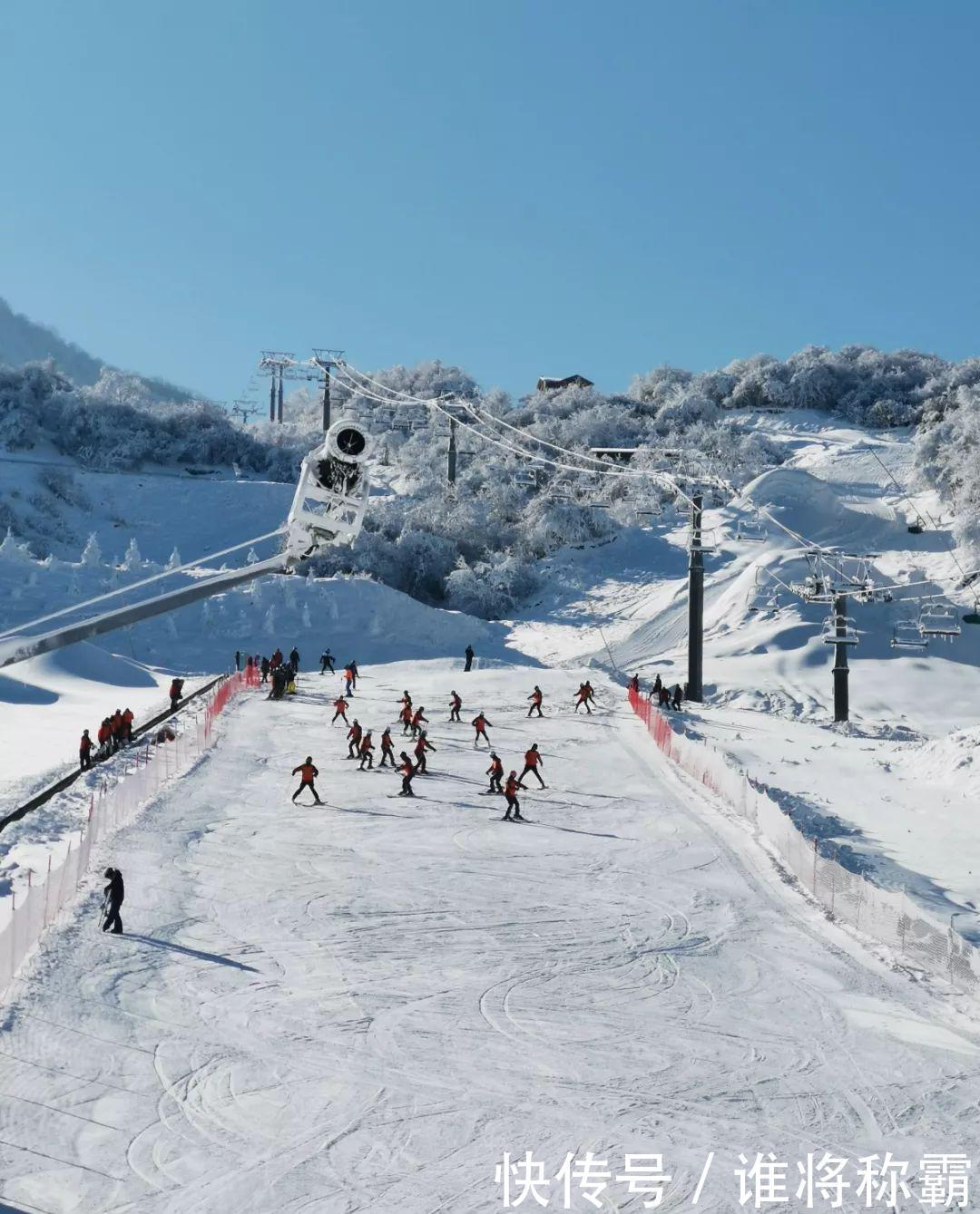 福利四川阿坝州太子岭:大学生可以免票滑雪啦!